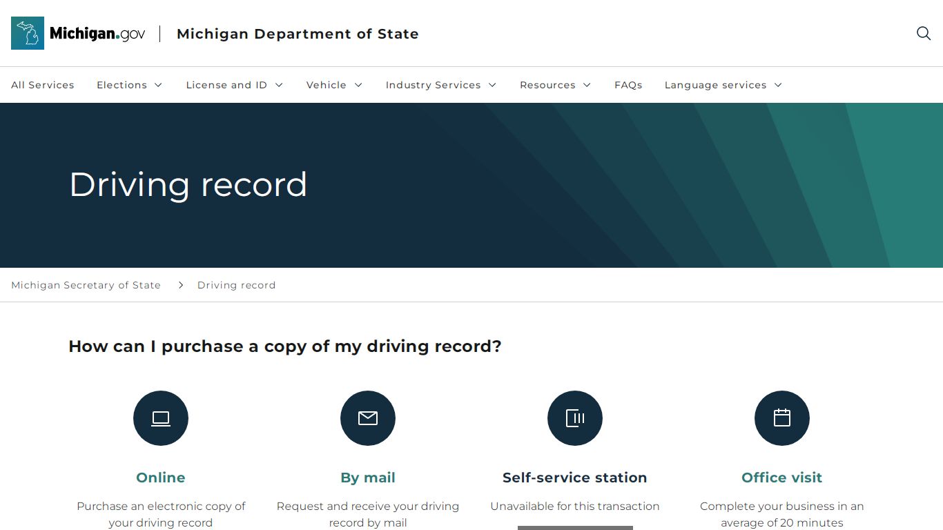 Driving record - Michigan